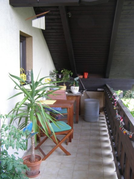 Terrasse / Balkon 'Meine Sommeroase'