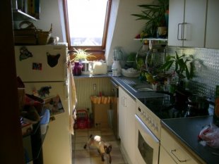 Stilmix 'Die Küche in ihrem Normal-Zustand'